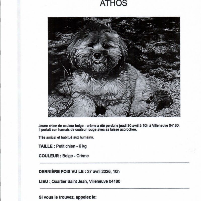 Alerte animal